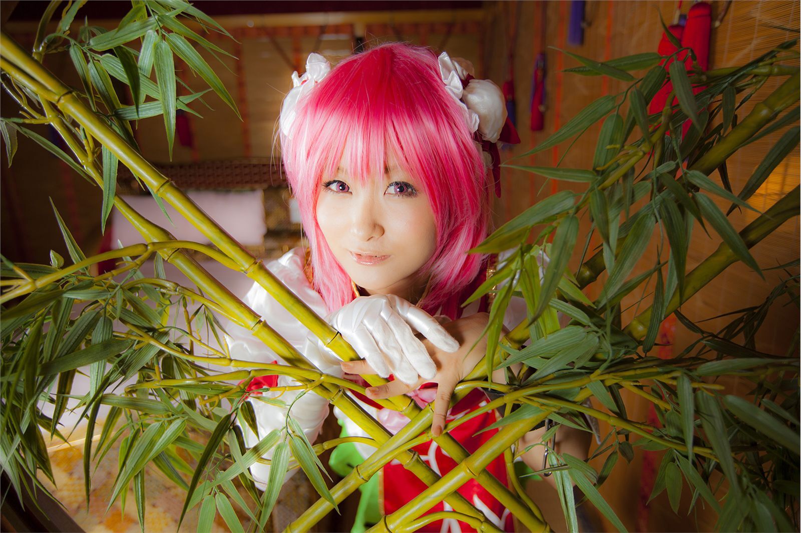 [Cosplay] New Touhou Project Cosplay set - Awesome Kasen Ibara